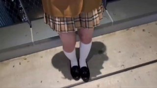 91视频免费看的网站